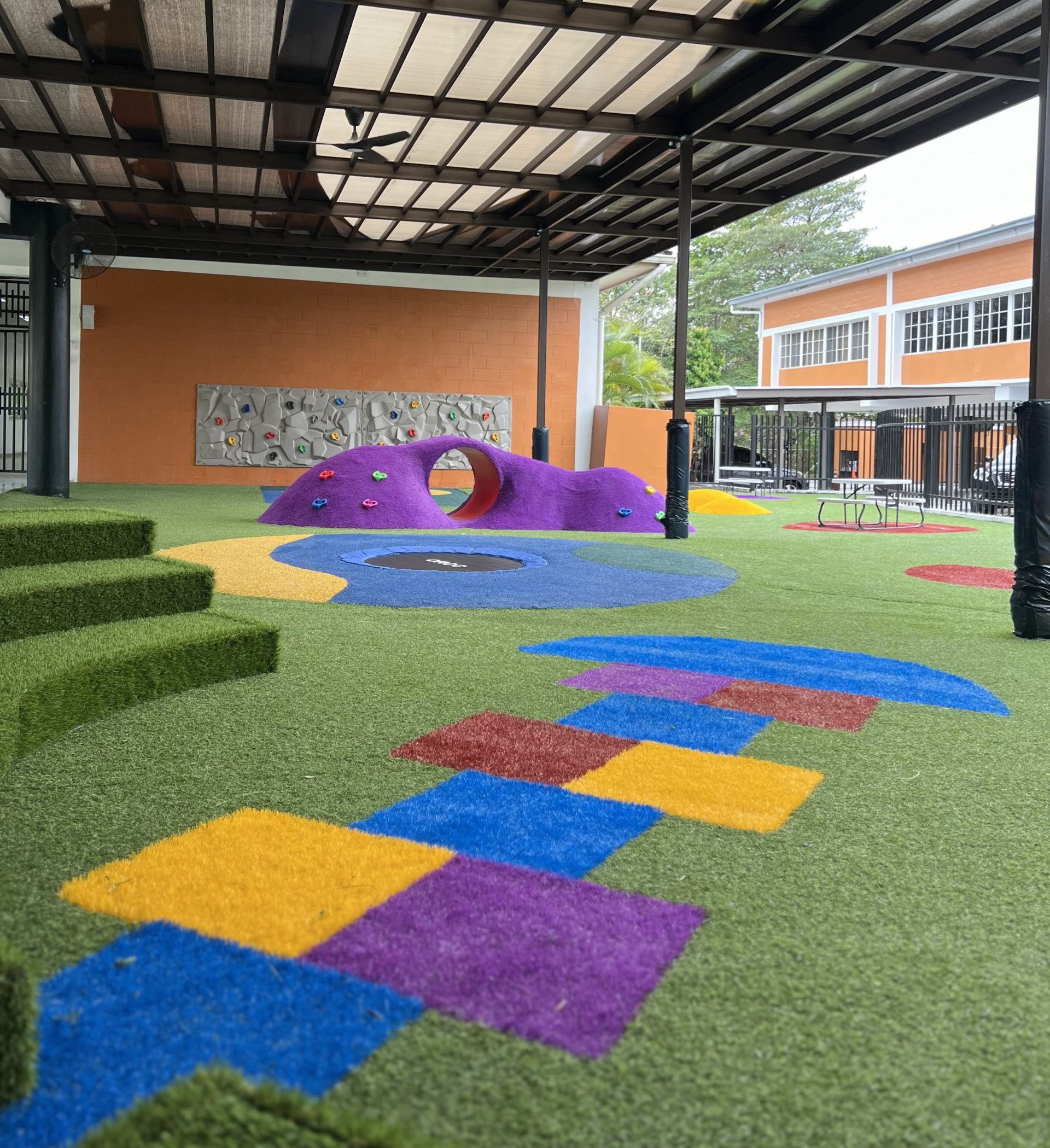 Grama decorativa - Miracle Play