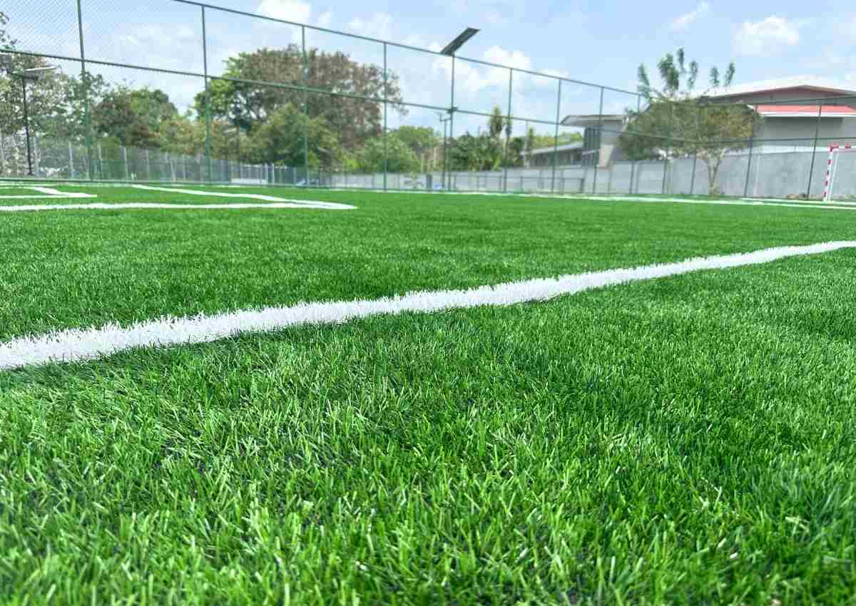 Grama deportiva - Miracle Play
